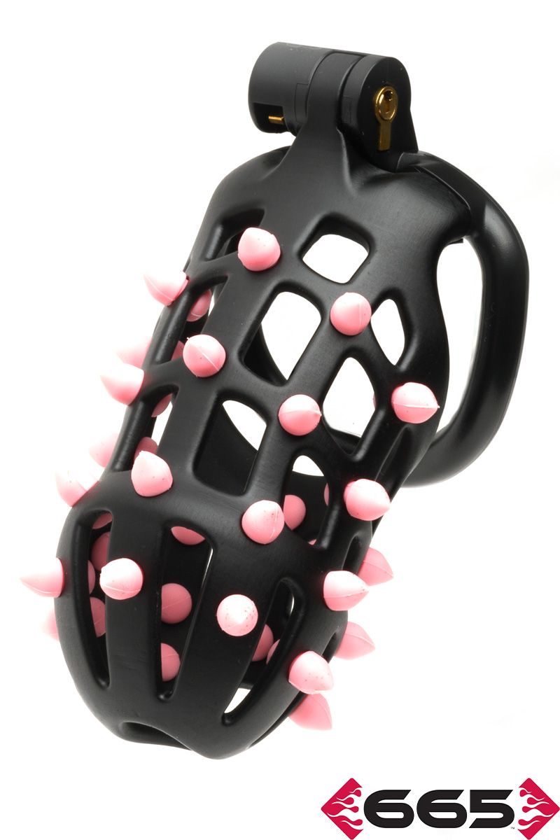 FLEXISPIKE PAR CELLMATE