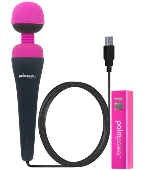 PALMPOWER PLUG & PLAY - AVEC FIL ET BANQUE D'ALIMENTATION USB