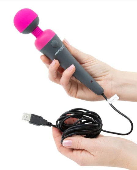 PALMPOWER PLUG & PLAY - AVEC FIL ET BANQUE D'ALIMENTATION USB