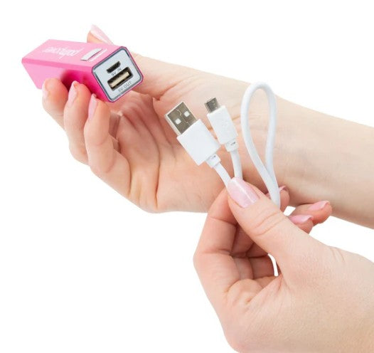 PALMPOWER PLUG & PLAY - AVEC FIL ET BANQUE D'ALIMENTATION USB