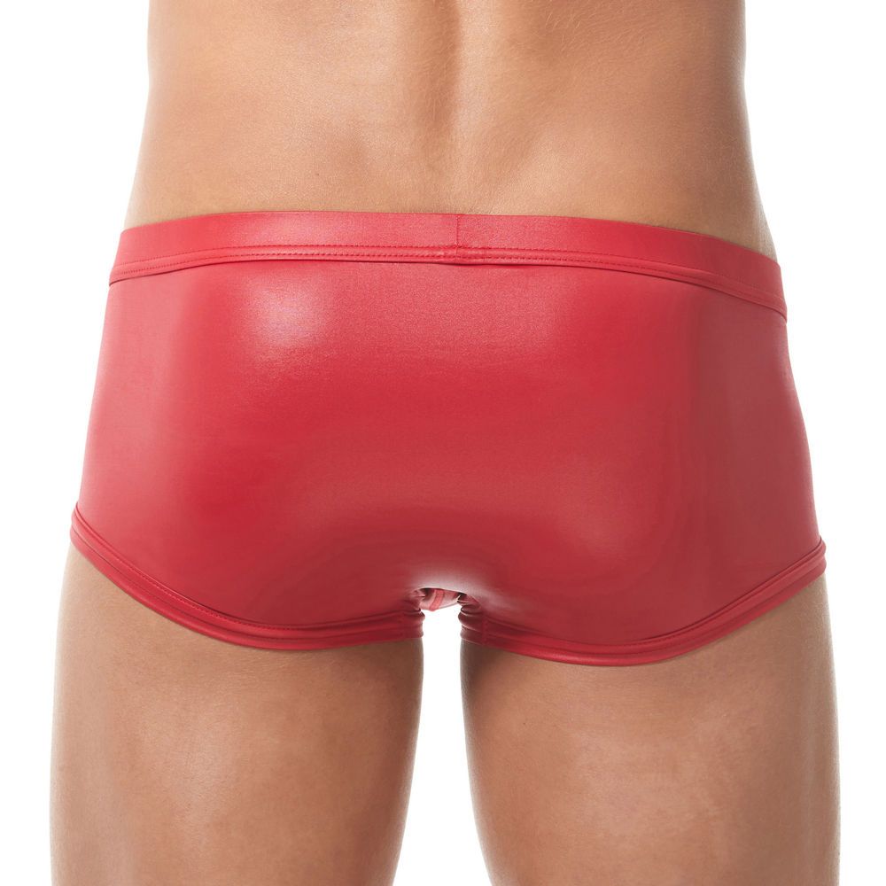 95005 - BOYTOY SQUARE CUT BRIEFS- GREGG