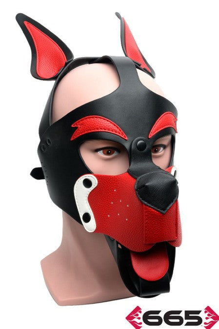 PLAYFUL PUP HOOD BLACK-RED-WHITE