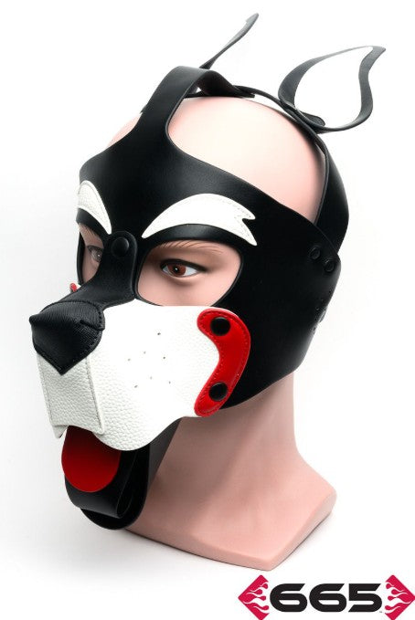 PLAYFUL PUP HOOD WHITE-RED-BLACK