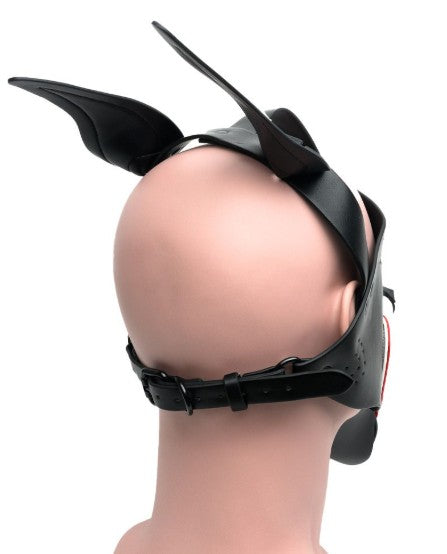 PLAYFUL PUP HOOD WHITE-RED-BLACK