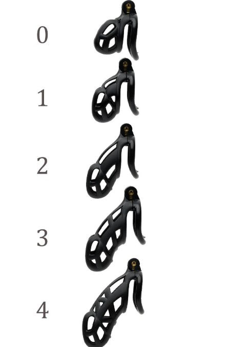 THE GUARDIAN PAR CELLMATE