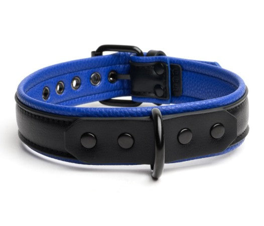 VEGAN COLLAR BLACK-BLUE