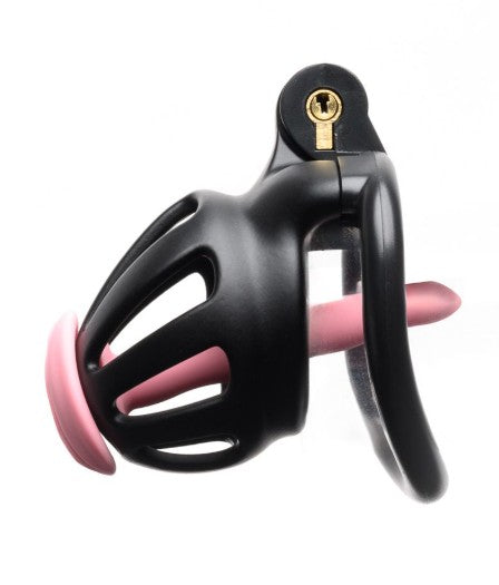 CENTURION PAR CELLMATE