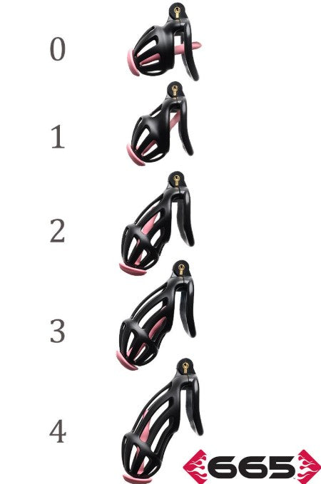 CENTURION PAR CELLMATE