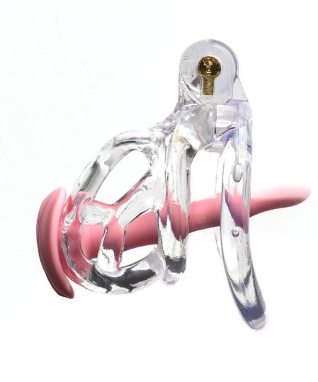 THE GUARDIAN (CLEAR) PAR CELLMATE