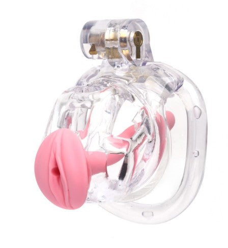 THE GUARDIAN (CLEAR) PAR CELLMATE