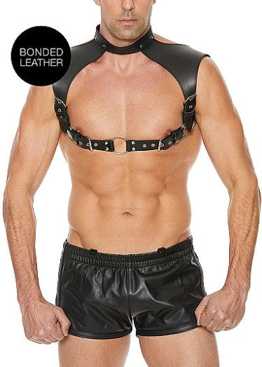 MEN HARNESS WITH NECK COLLAR - ONE SIZE - OUCH!