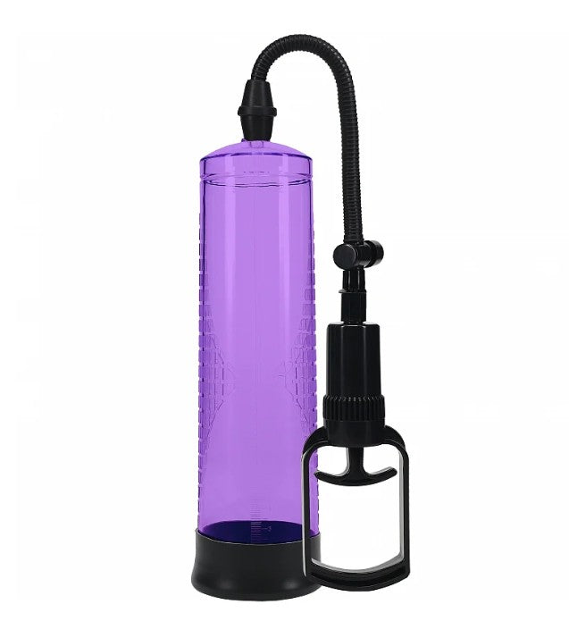 PUMPED BASIC PUMP 2 MAUVE