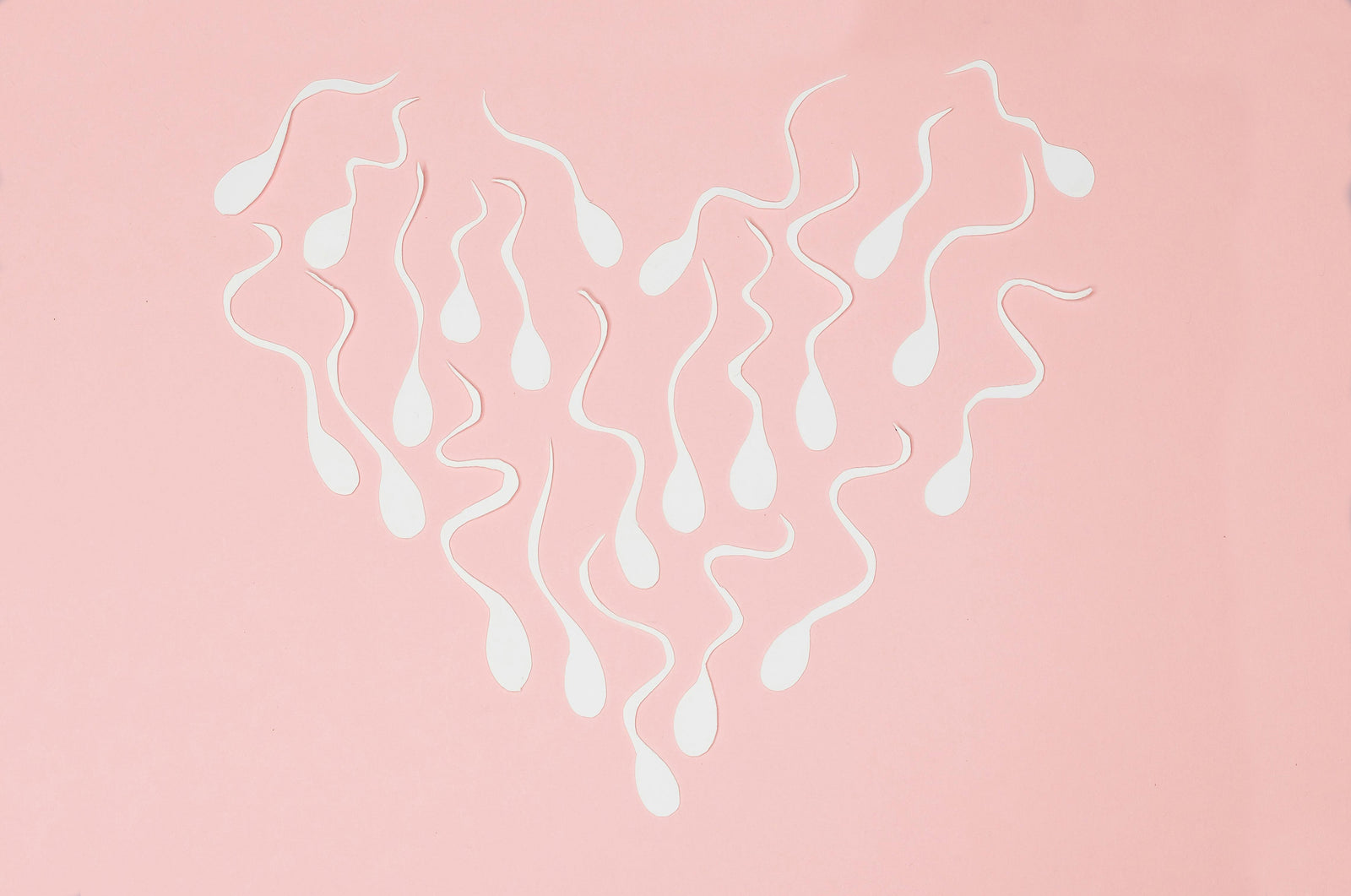 Sperme : entre flaque et tsunami