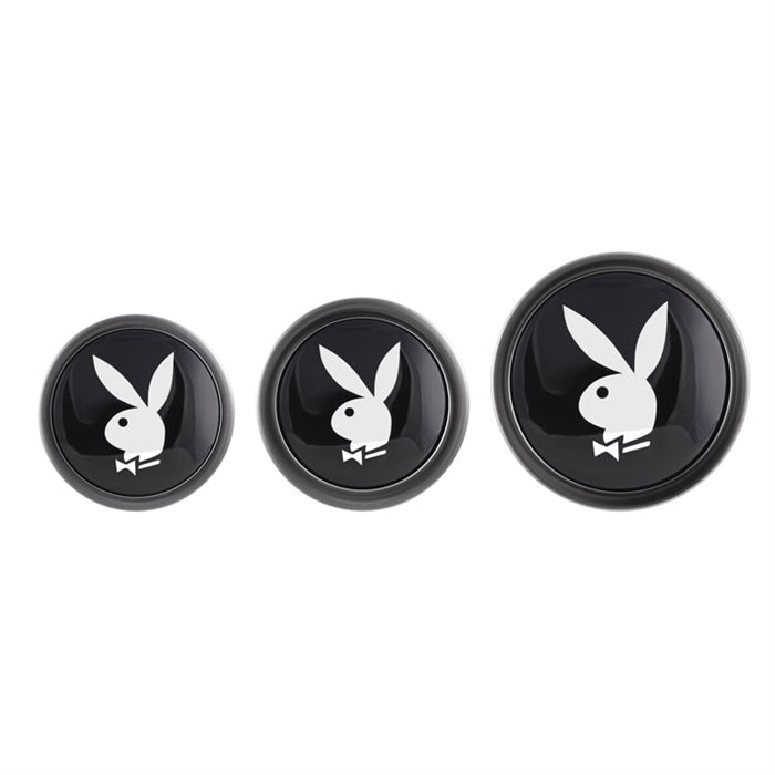 PLEASURE 3 WAYS - PLAYBOY