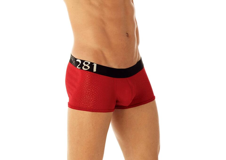 BOXER 281