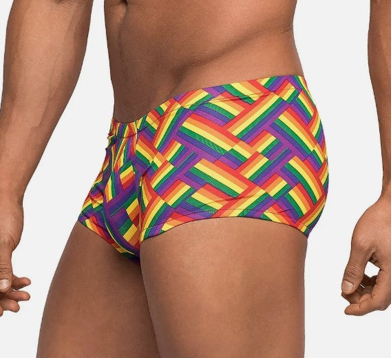 MINI SHORT PRIDE FEST PRINT - MEDIUM - MALE POWER