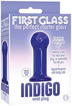 THE 9'S - INDIGO ANAL STARTER PROBE - BLEU