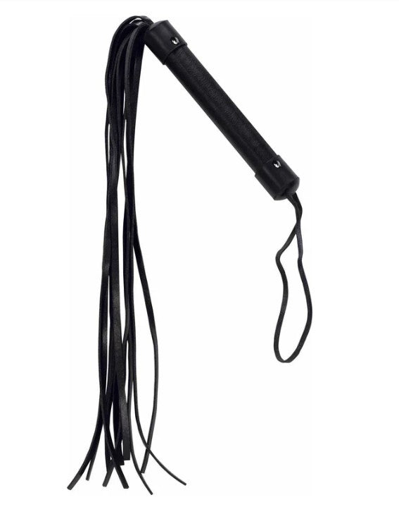PUNISHMENT - BLACK LEATHER WHIP