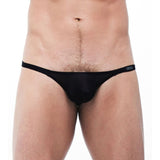 TORRIDZ THONG - GREGG