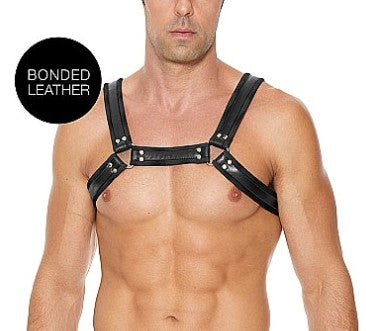 BUCKLE BULLDOG HARNAIS - OUCH!