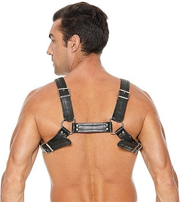 BUCKLE BULLDOG HARNAIS - OUCH!
