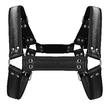 BUCKLE BULLDOG HARNAIS - OUCH!