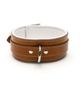 ASYLUM SERIES COLLAR
