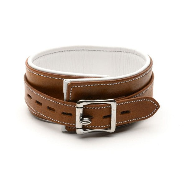 ASYLUM SERIES COLLAR