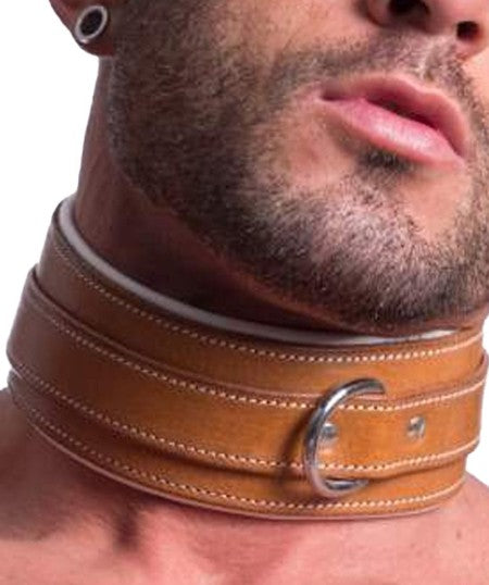 ASYLUM SERIES COLLAR