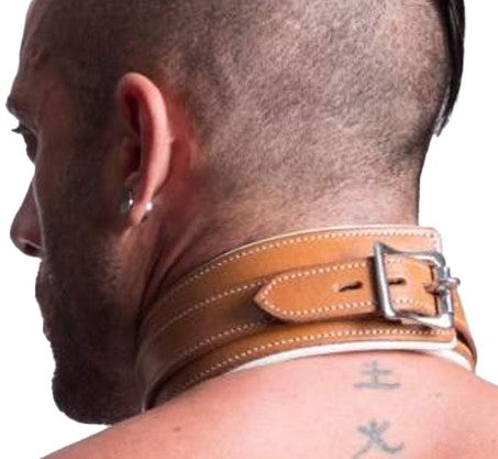 ASYLUM SERIES COLLAR