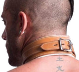 ASYLUM SERIES COLLAR