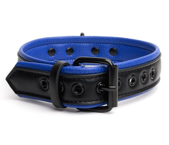 VEGAN COLLAR BLACK-BLUE