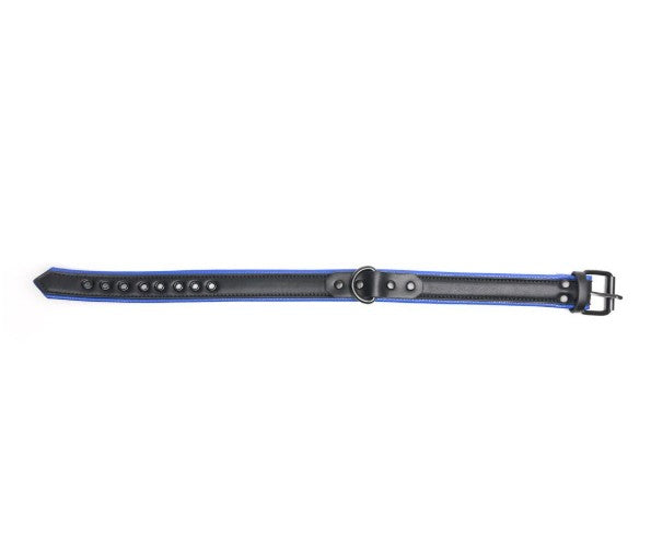 VEGAN COLLAR BLACK-BLUE