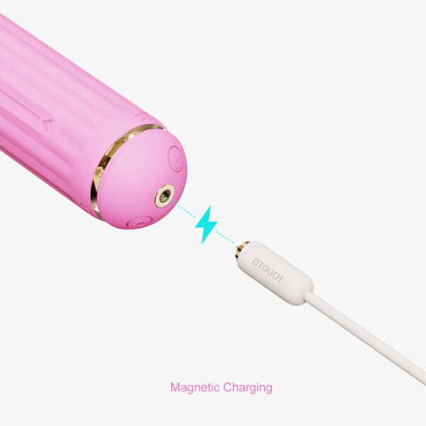 MAGIC STICK KIT ROSE 5 ATTACHEMENTS