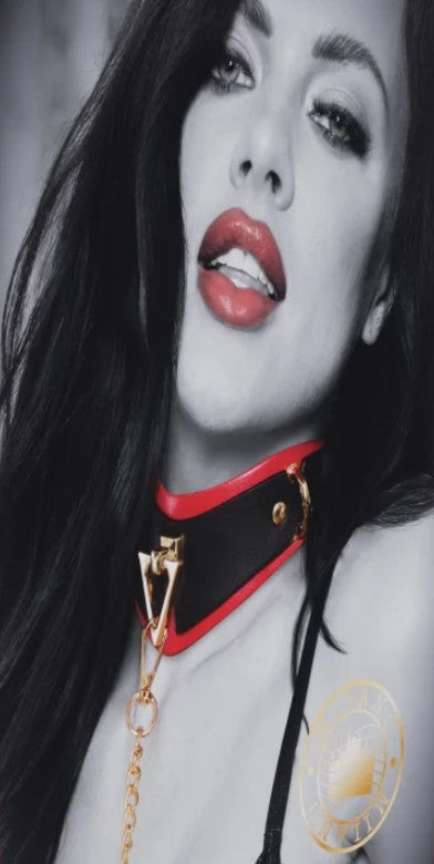 OUCH! - MILAN COLLECTION - COLLIER ET LAISSE