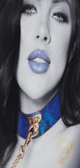 OUCH! - FLORENCE COLLECTION - COLLAR WITH LEASH - BLEU