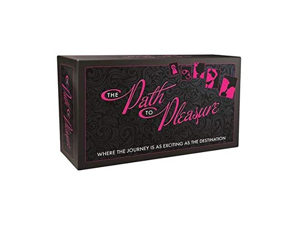 THE PATH TO PLEASURE GAME