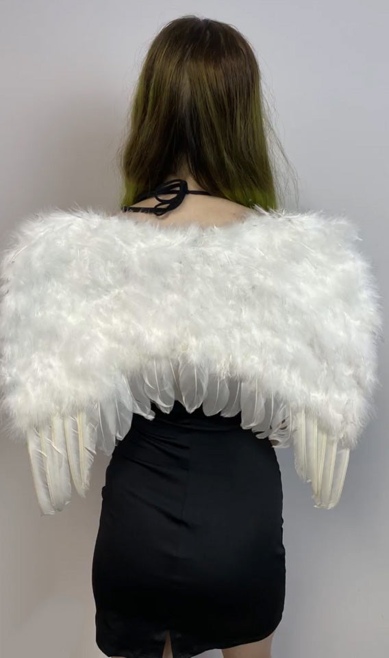 AILES D'ANGES BLANCHE SM 17x15''