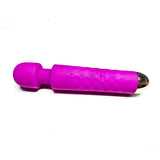 COLOR SEX - VIBRATEUR MICRO - MAUVE - LOUVIVA