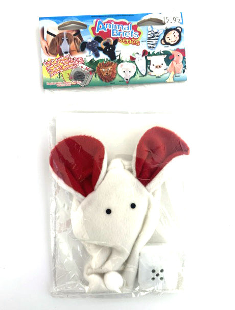ANIMAL BRIEF – SOURIS